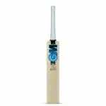 GM Diamond 606 English Willow Professional Cricket Bat For Men and Boys| Ready to Play | Lightweight | Free Cover | Size-6
