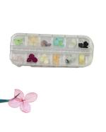 KIROH Nail Products 12 Patterns 3D Dry Flowers Stickers, Real Dried Flower Nail Art Decoration Tips, DIY Manicure Tool