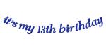 Festiko Blue Glitter Its My 13Th Birthday Banner, Official Teenager Banner, Happy 13Th Birthday, Cheers To 13 Years Party Decoration Supplies