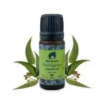 Ayurmeans Eucalyptus Essential Oil for Air Cleaning, kill fungus & Bacteria (10 ML)