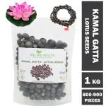 Shudh Online Kamal Gatta Seeds (1 Kg / 1000 g), Water Lotus Flower, Tamara Ginjalu (Pooja, Pond, Eating) Seed