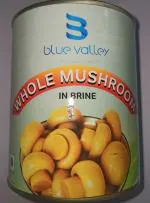 BLUE VALLEY Whole Mushroom (1 pc)