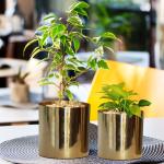 ecofynd Grace Metal Plant Pots (5 inch, 6 inch), Decorative Modern Indoor Planters Flower Pots
