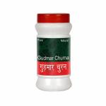 Shree Herbal Oganic Village GUDMAR Churna 100 G