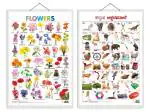GO WOO Combo of 2 Flowers and Kannada Alphabet Educational Posters | Charts for Kids