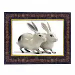 Hawai Feng Shui Vastu Remedies Wooden Framed Two White Rabbit Photo for Home Office Business Place SFDI213
