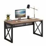 TEKAVO Computer Desk for Home Office Desk, Office Table 120x60x76 cm(Forest)