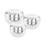 Fableart Stainless Steel Apple Shape Storage Container 500 ml+ 750 ml+ 1100 ml (Set of 3)
