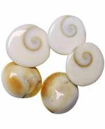 zoltamulata Gunja Seeds and Siddha Gomati Chakra