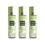 Signature Jasmine No Gas Air Freshener - 750 ml( Pack of 3 X 250 ml each)|Instantly freshenes the area|Removes bad odour|Use anywhere in home, room & car|Revitalizing & long lasting aroma|Pack of 3