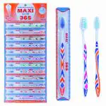 Maxi 365 Soft Toothbrush (Pack of 12)