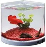 Kapoor Pets Dophin Corner Pentagon Aquarium Tank