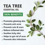 Tea tree Essential Oil