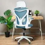 DROGO Premium Ergonomic Office Chair for Work from Home, High Back Computer Chair with Mesh, Flip-up Armrest, Recline, Adjustable Seat & Lumbar Support | Mesh Chair for Office (Marshal Pro Teal)