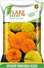 Flare Seeds African Marigold Seeds 500 Per Packet
