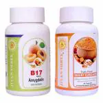 Jivan Shree Vitamin B17 60 Capsules Purest Amygdalin 99.5 Percent Apricot Kernel With Smart Curcumin Extract 60 Capsules - Pack Of 2
