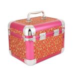 Clarabae Stylish Clip-Lock Vanity Case For Her Professional Travel Makeup Case Portable Artist Cosmetic Brush Organizer Storage Bag | Red Heart