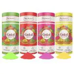 Hari Darshan Organic Gulal Combo Pack of 4-100g Each | Red | Green | Yellow | Pink | Natural Plant Based Colours | Non-Toxic & Eco Friendly | Safe for Kids | Safe on Skin and Hair Organic Gulal