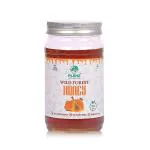 PLENZ Wild Forest Honey Preservatives Free Pure and Natural - 500 g