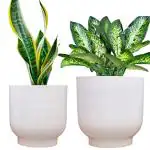 ecofynd White Eva Metal Plant Pots (8 inch, 9 inch), Indoor Planter Flower Pots with Drainage Hole