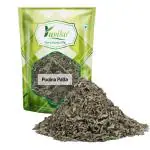 YUVIKA Podina Patta - Pudina - Mentha Arvensis Linn - Mint Leaves (100 Grams)