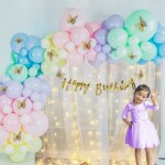 SpecialYou.in Rainbow Butterfly Theme Birthday Party Decorations For Girls (Pack of 81)