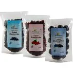 Farmbean Dehydrated Fruits Combo Pack of 3-600 Gms|Blueberries 200g,Cranberries 200g ,Blueberry Plum 200g| Plant Based Protein | Rich in Vitamins & Minerals | 100% Natural & No Artificial Colors, Gluten Free, No Preservatives | Tasty & Healthy Berries