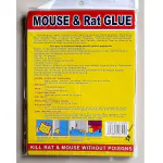 Biyanka Mouse Glue Pad Insect Rodent Lizard Trap Rat Catcher Adhesive Sticky Glue Pad, Non Poisonous, Non Toxic, Odourless (Yellow)