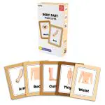 Festiko 1 Set of 30 Pcs Body Parts Flash Cards, Body Parts Flash Cards for Kids, Easy & Fun Way of Learning, Flashcards For Toddlers and Kids