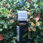 Happy Surroundings Basil Essential Oil (50 ml)