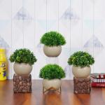 Dekorly Artificial Plants with Pots for Home and Office Tabletop Decor