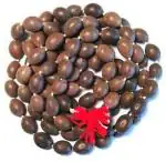 Shivoham Shiv Shakti Brown Men and Women Wood Japa Mala 108 Plus 1 Rosary Beads Chains (1.27 inch)