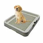 Taiyo Pluss Discovery Dog Toilet With Mesh Plate Indoor Training Protect Floors Clean