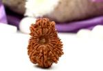 Feel Touch Mart Genuine & Natural Seed Brown Beads Original 18 Mukhi Rudraksha Certified by Lab Nepali Beed