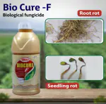 T-STANES LIQUID BIOCURE-F (Trichoderma viride)C 1LTR FOR COPS & OUTDOOR PLANTS FOR FUNGAL & BACTERIAL DISEASE