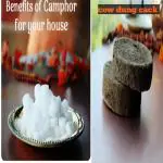 AYODvati handmade cowdung cack/uple for Agnihotri 30pec (free bhimseni camphor)