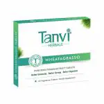 Tanvi Herbals Wheatagrasso Tablets - Herbal Wheatgrass Extract - Natural Antioxidant, Energy, Detox, Immunity Booster - 12 Months (Pack of 12)