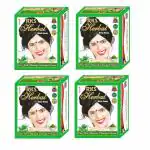 RKS Herbal Black Henna Hair Color Powder for Women and Men | Black Herbal Hair Color Mehandi Powder | Herbal Henna Powder For Hair Color | Henna Hair Color Powder - 240g (Pack of 4)
