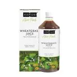 Kapiva Wheat Grass Juice 1 L
