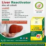 Only Ayurved LIVER REACTIVATOR