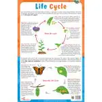 PEGASUS - Life Cycle Chart - CHARTS