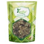 YUVIKA Kanghi - Atibala - Mahabala - Abutilon indicum - Indian Mallow (800 Grams)