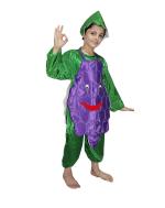 Kaku Fancy Dresses Grapes Fruits Costume -Purple & Green, 10-12 Years, for Boys & Girls