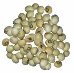 Plantzoin White chirmi Swet gunja Abrus precatorius Dhala kaincha 51 Seeds for Puja