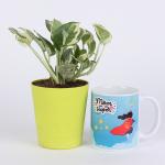Ferns N Petals White Pothos Plant In Green Plastic Pot 4X4 inch With Printed Coffee Mug