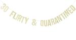 Festiko 30 Flirty, Quarantined Banner For Birthday, Photo Banner For Dirty 30th Birthday Decorations, Birthday Party Supplies, Funny Thirtieth Birthday Decorations