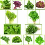 Nelesa Gardening 12 Leafy Vegetable Seeds for Home Gardening, Kitchen Gardening Seeds, Organic Vegetable Seeds, Fresh Indian Desi Vegetable Seeds, Easy to Grow Organic Vegetable Seeds for Garden