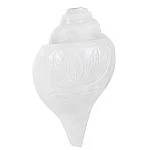 BOVZEN BLOWING SHANKH DESIGN