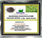 MGBN THE PATH FOR THE HEALTHIER LIFE WITH BEAUTY Bagra, Nai Kadugu, Cleome Viscosa Seeds - 5 g (6000 Seeds)