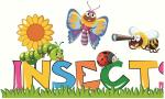 Insects